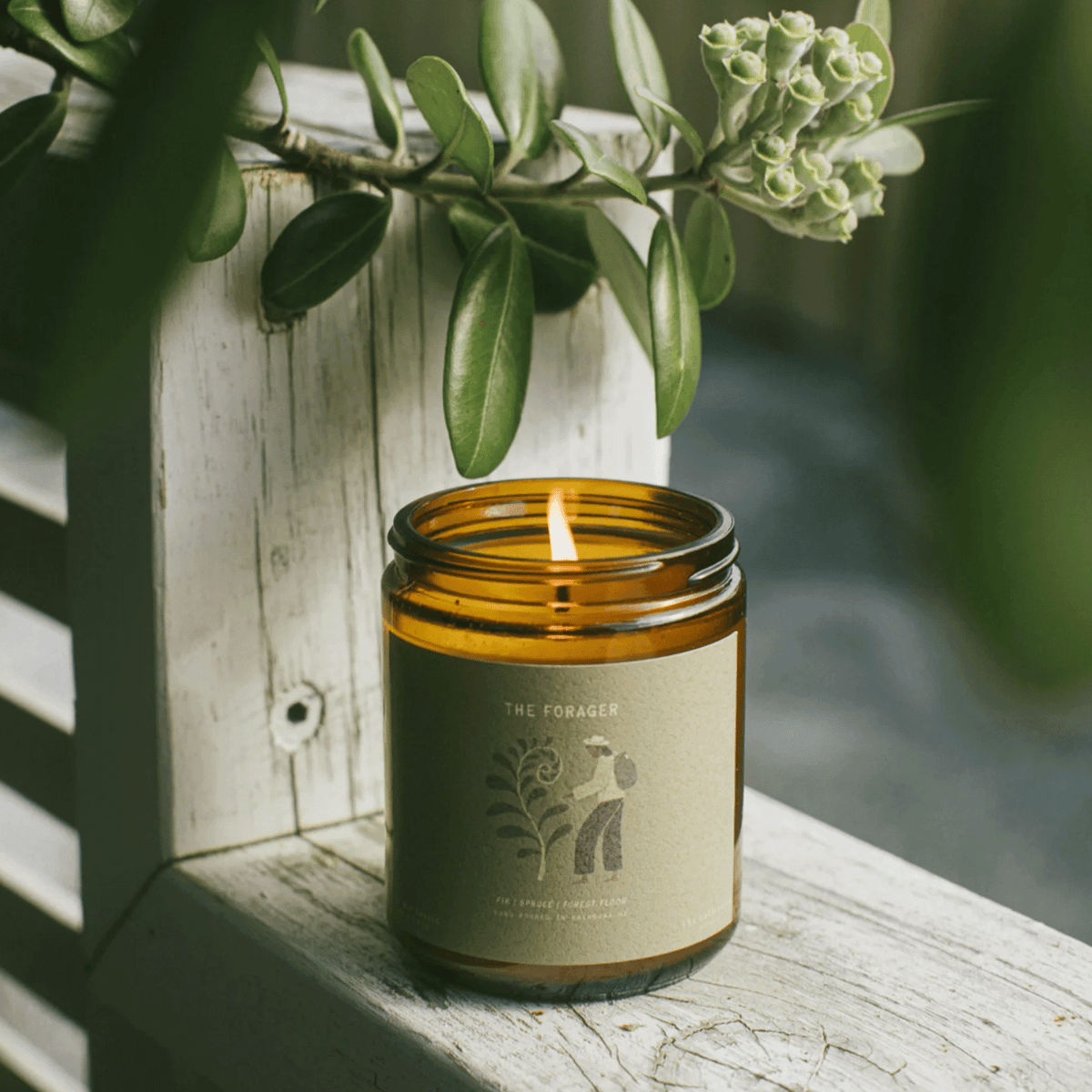 Bee Bright